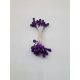 Bibe lila 25 db/csom