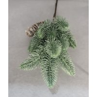 Mini fenyő/fenyőágak