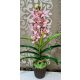 Cymbidium orchidea 1 szálas -halvány lila,pöttyös mintázattal