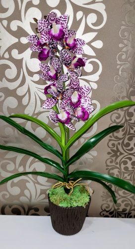 Cymbidium orchidea 1 szálas -fehér,lila pöttyös