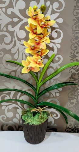 Cymbidium orchidea 1 szálas -napsárga, barna középpel