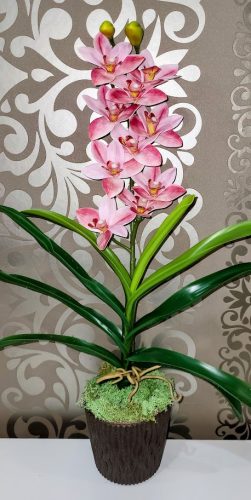 Cymbidium orchidea 1 szálas -rózsaszín,halvány barnás középpel