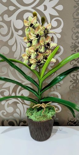 Cymbidium orchidea 1 szálas -sárga színű, barna középpel,narancssárga mintázattal