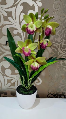 Cymbidium orchidea 1 szálas -zöld szirom,lila középpel