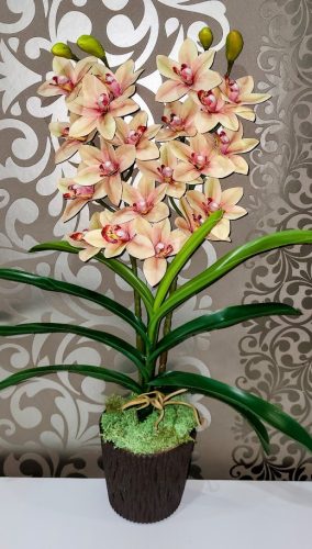 Cymbidium orchidea 2 szálas -paszelsárga, barna középpel