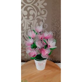 Magnólia harisnyából