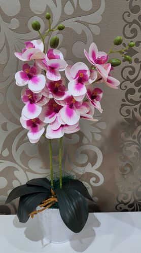 Fehér orchidea pink középpel 2 ágú