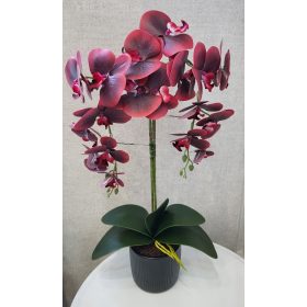 Sötét Luxus – Élethű Bordó Orchidea Fekete Kaspóban