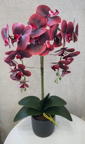 Sötét Luxus – Élethű Bordó Orchidea Fekete Kaspóban