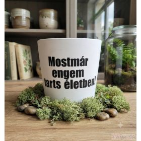 Üzenet ültető