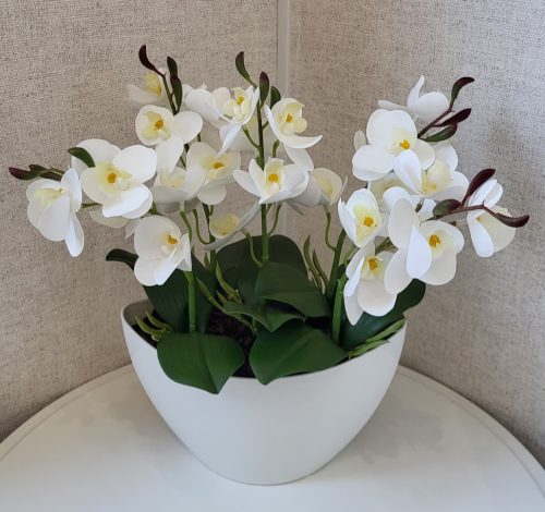 Fehér orchidea dekoráció – elegáns csónak kaspóban