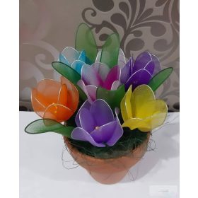 Krókusz harisnyából