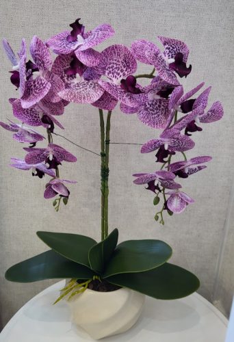  "Elegancia Lila Orchidea – Élethű Dekorcsoda"  Title tag: