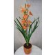  "Trópusi Orchidea – Narancsos Harmónia"