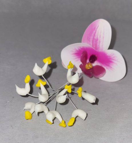 Orchidea bibe lepke-sárga / 10 szál