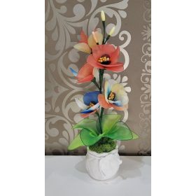 Színátmenetes orchidea