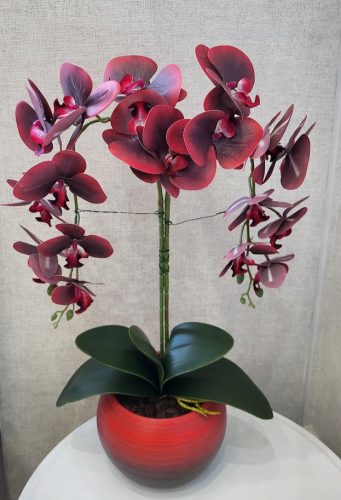 Vörös Árnyék – Élethű Bordó Orchidea Színátmenetes Kaspóban (55 cm)