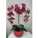 Vörös Árnyék – Élethű Bordó Orchidea Színátmenetes Kaspóban (55 cm)